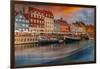 Copenhagen-Adrian Popan-Framed Photographic Print