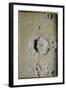 Copernicus (Chalk on Tinted Paper)-James Nasmyth-Framed Giclee Print