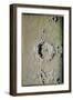 Copernicus (Chalk on Tinted Paper)-James Nasmyth-Framed Giclee Print