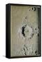 Copernicus (Chalk on Tinted Paper)-James Nasmyth-Framed Stretched Canvas