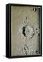 Copernicus (Chalk on Tinted Paper)-James Nasmyth-Framed Stretched Canvas