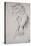 Copie d'après une statue antique (Faune Barberini)-Gustave Moreau-Stretched Canvas