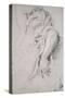 Copie d'après une statue antique (Faune Barberini)-Gustave Moreau-Stretched Canvas