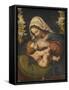 Copie de La Vierge au coussin vert-Andrea Solario-Framed Stretched Canvas