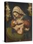 Copie de La Vierge au coussin vert-Andrea Solario-Stretched Canvas