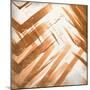 Copper 2-Kimberly Allen-Mounted Art Print