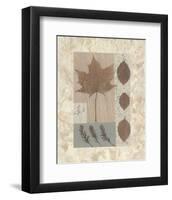 Copper Beech-Denise Duplock-Framed Art Print