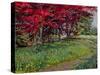 Copper Beeches, New Timber, Sussex-Robert Tyndall-Stretched Canvas