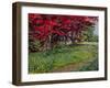 Copper Beeches, New Timber, Sussex-Robert Tyndall-Framed Giclee Print