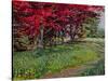 Copper Beeches, New Timber, Sussex-Robert Tyndall-Stretched Canvas