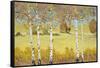 Copper Birch-Arnie Fisk-Framed Stretched Canvas