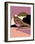 Copper Bird in Moonlight-Tara Reed-Framed Art Print