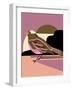 Copper Bird in Moonlight-Tara Reed-Framed Art Print