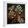 Copper Butterflies-Mindy Sommers-Framed Giclee Print