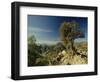 Copper Canyon in the Sierra Madre Occidental from Hiking Trail Near Divisadero, Mexico-Robert Francis-Framed Photographic Print