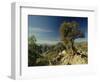 Copper Canyon in the Sierra Madre Occidental from Hiking Trail Near Divisadero, Mexico-Robert Francis-Framed Photographic Print