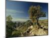 Copper Canyon in the Sierra Madre Occidental from Hiking Trail Near Divisadero, Mexico-Robert Francis-Mounted Photographic Print