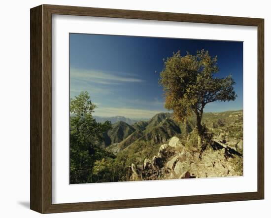 Copper Canyon in the Sierra Madre Occidental from Hiking Trail Near Divisadero, Mexico-Robert Francis-Framed Photographic Print