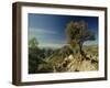 Copper Canyon in the Sierra Madre Occidental from Hiking Trail Near Divisadero, Mexico-Robert Francis-Framed Photographic Print