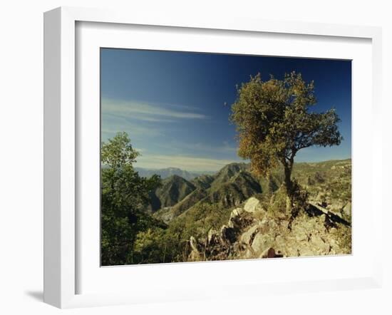 Copper Canyon in the Sierra Madre Occidental from Hiking Trail Near Divisadero, Mexico-Robert Francis-Framed Photographic Print