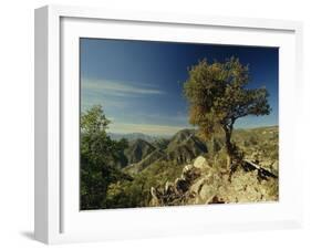 Copper Canyon in the Sierra Madre Occidental from Hiking Trail Near Divisadero, Mexico-Robert Francis-Framed Photographic Print