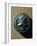 Copper Coin Bearing Image of Janus in Relief, Roman Coins-null-Framed Giclee Print