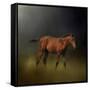 Copper Colt in the Moon Light-Jai Johnson-Framed Stretched Canvas