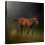 Copper Colt in the Moon Light-Jai Johnson-Stretched Canvas