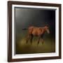 Copper Colt in the Moon Light-Jai Johnson-Framed Giclee Print