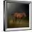 Copper Colt in the Moon Light-Jai Johnson-Framed Giclee Print