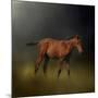 Copper Colt in the Moon Light-Jai Johnson-Mounted Giclee Print