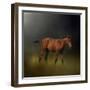 Copper Colt in the Moon Light-Jai Johnson-Framed Giclee Print