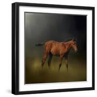 Copper Colt in the Moon Light-Jai Johnson-Framed Giclee Print