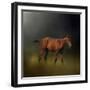 Copper Colt in the Moon Light-Jai Johnson-Framed Giclee Print