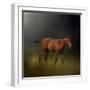 Copper Colt in the Moon Light-Jai Johnson-Framed Giclee Print