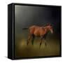 Copper Colt in the Moon Light-Jai Johnson-Framed Stretched Canvas