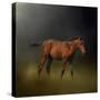 Copper Colt in the Moon Light-Jai Johnson-Stretched Canvas