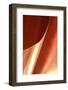 Copper Curves II-Karyn Millet-Framed Photographic Print