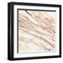 Copper Dreams-Albena Hristova-Framed Art Print