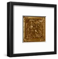 Copper Floral Rosette-George Caso-Framed Art Print