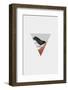 Copper Geometric II-Orara Studio-Framed Photographic Print