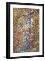 Copper Mist-Doug Chinnery-Framed Photographic Print