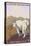 Copper Mountain, Colorado - Mountain Goat Solo-Lantern Press-Stretched Canvas