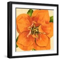 Copper Petals I-Annie Warren-Framed Art Print