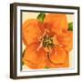 Copper Petals I-Annie Warren-Framed Art Print