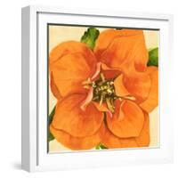 Copper Petals I-Annie Warren-Framed Art Print