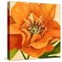 Copper Petals II-Annie Warren-Stretched Canvas