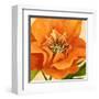 Copper Petals II-Annie Warren-Framed Art Print