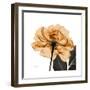 Copper Rose Black-Albert Koetsier-Framed Premium Giclee Print