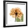 Copper Rose-Albert Koetsier-Framed Premium Giclee Print